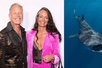 Adriana Gillett and James Hetfield Underwater Proposal